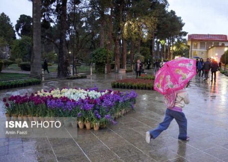 بارش باران در بیشتر استان‌ها