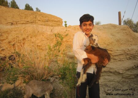 کودک و طبیعت