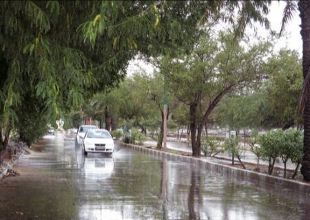 رگبارورعدوبرق در جنوب کشور