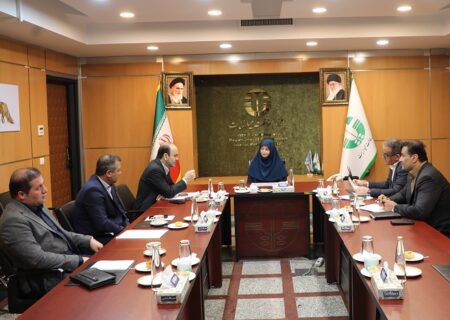شینا انصاری با تعدادی از نمایندگان مجلس شورای اسلامی دیدار کرد