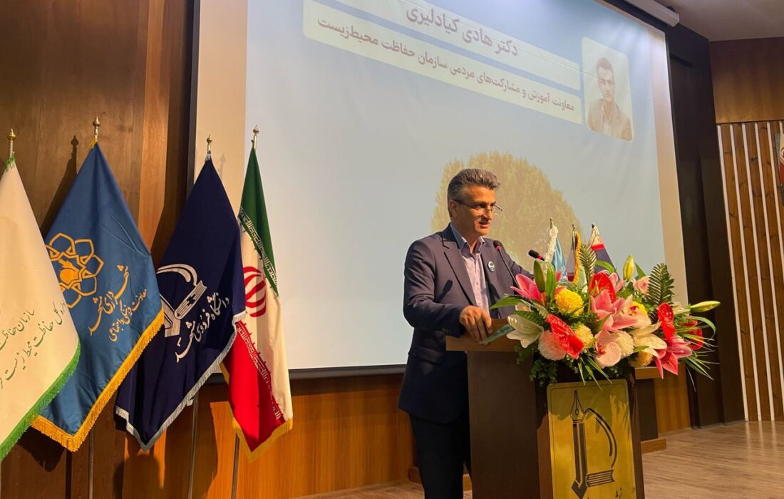 معاون محیط زیست: روزانه ۵۰۰ هکتار از سطح جنگل‌ها و مراتع کشور کم می‌شود