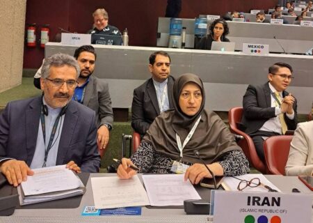 برگزاری نشست کشورهای عضو سه کنوانسیون محیط‌ زیستی با حضور نمایندگان ایران در ژنو