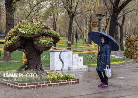 بارش باران در برخی مناطق کشور