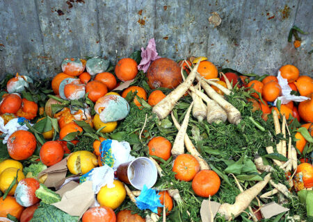 پسماند مواد غذایی
