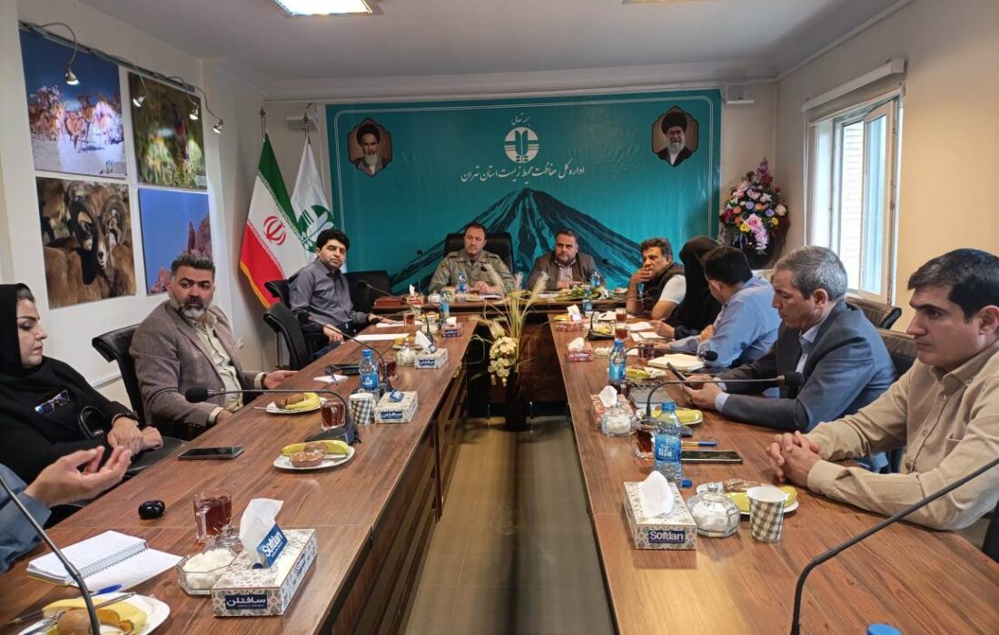 تدوین برنامه اجرایی شرکت پست برای جایگزینی موتورسیکلت‌ های بنزینی با مدل ‌های برقی