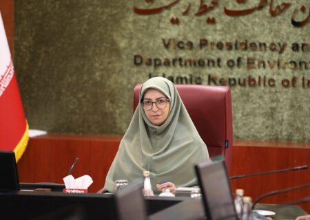 شینا انصاری: نگاه ما به حوزه زنان رفع موانع و ارتقا بر اساس شایسته گزینی است