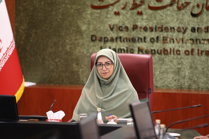 شینا انصاری: نگاه ما به حوزه زنان رفع موانع و ارتقا بر اساس شایسته گزینی است