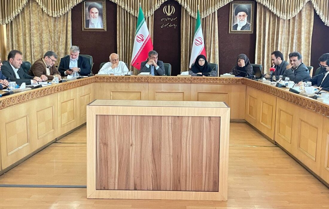 شینا انصاری تشریح کرد؛ سه اقدام محیط زیستی سازمان حفاظت محیط زیست بعد از انفجار اسکله شهید رجایی