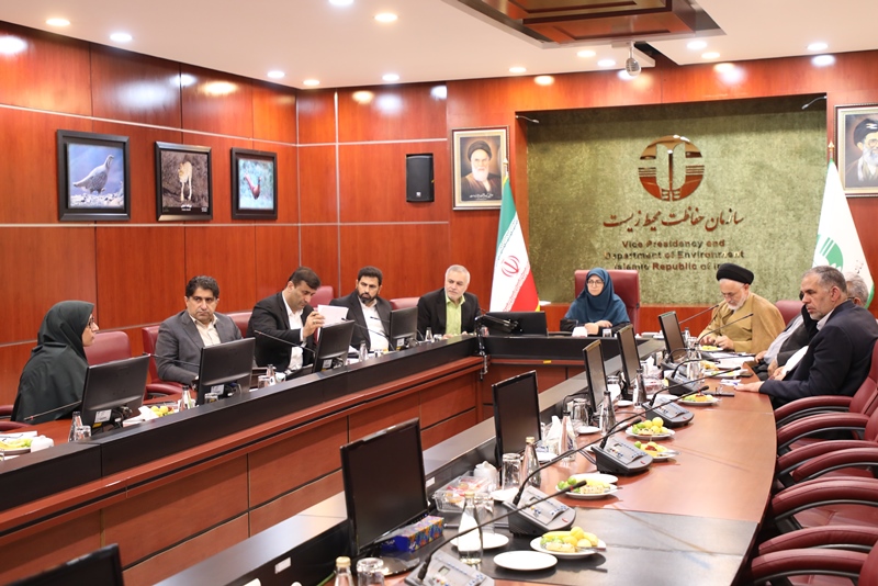 شینا انصاری با تعدادی از نمایندگان مجلس شورای اسلامی دیدار کرد