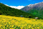 دشت دریاسر تنکابن در حسرت گردشگری مسئولانه