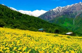 دشت دریاسر تنکابن در حسرت گردشگری مسئولانه