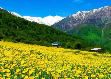دشت دریاسر تنکابن در حسرت گردشگری مسئولانه
