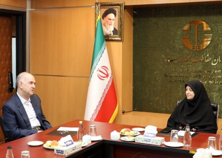 شینا انصاری با تعدادی از نمایندگان مجلس شورای اسلامی دیدار کرد