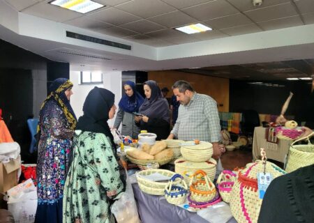 برگزاری نمایشگاه محصولات محلی و صنایع‌دستی جوامع حاشیه تالاب ها / معیشت پایدار، دستاورد طرح حفاظت از تالاب‌های ایران