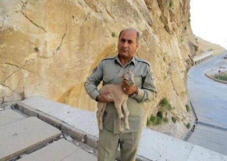 دومین قاتل شهید دیده‌بان دستگیر شد