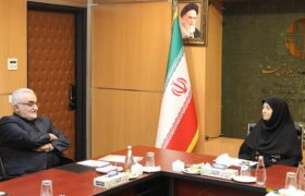 شینا انصاری با تعدادی از نمایندگان مجلس شورای اسلامی دیدار کرد