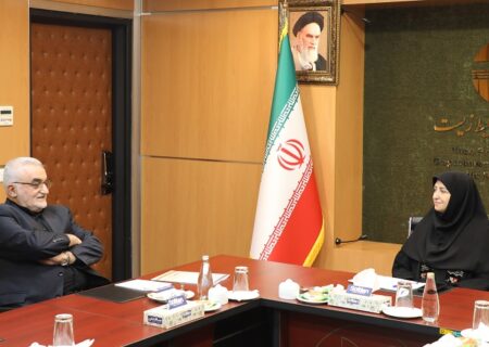 شینا انصاری با تعدادی از نمایندگان مجلس شورای اسلامی دیدار کرد