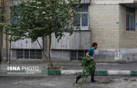 گرما و باد و خاک در تهران
