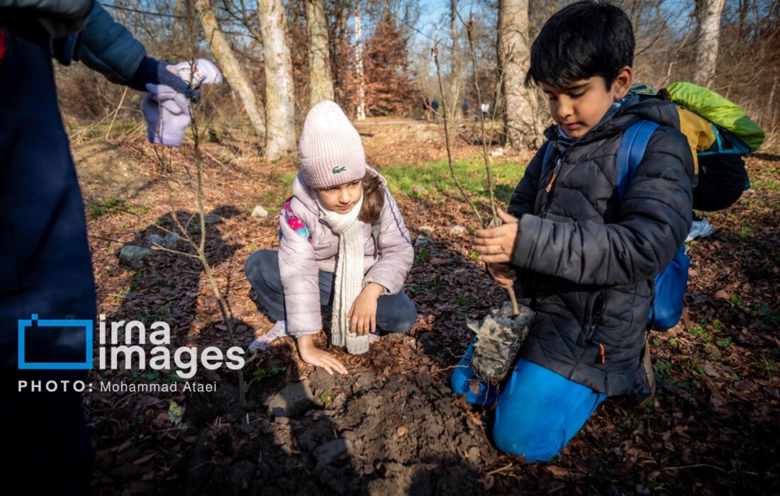 فقط دوست داشتن محیط‌زیست کافی نیست/ آموزش گام به گام راه نجات طبیعت