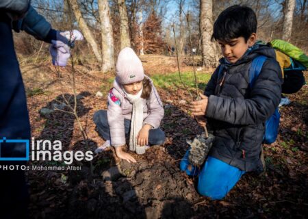 فقط دوست داشتن محیط‌زیست کافی نیست/ آموزش گام به گام راه نجات طبیعت