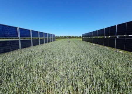 برداشت دوگانه از یک زمین؛ پایان انتخاب میان کشاورزی و انرژی