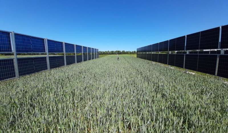 برداشت دوگانه از یک زمین؛ پایان انتخاب میان کشاورزی و انرژی