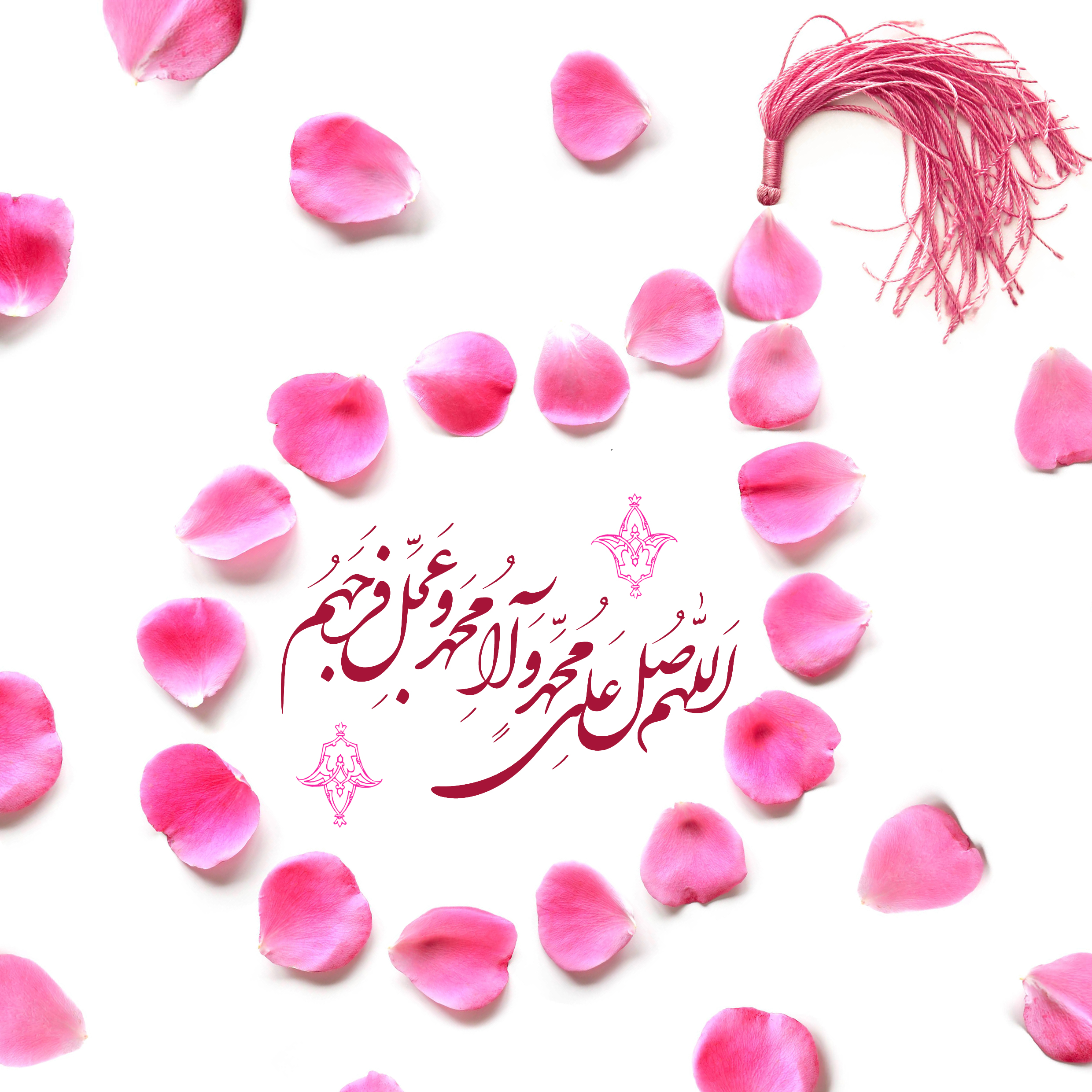 بر ماه ربیع بهار دلها صلوات