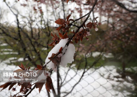 رویای بارش‌ زمستانه؛ بارش‌های نرمال دردی از بی‌آبی دوا می‌کند؟