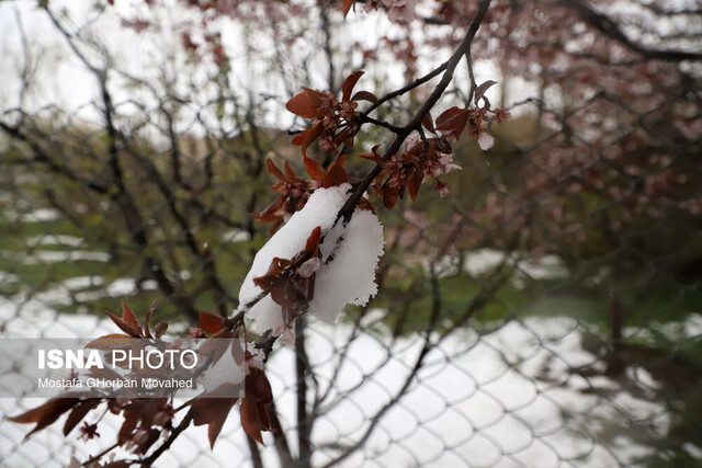 رویای بارش‌ زمستانه؛ بارش‌های نرمال دردی از بی‌آبی دوا می‌کند؟