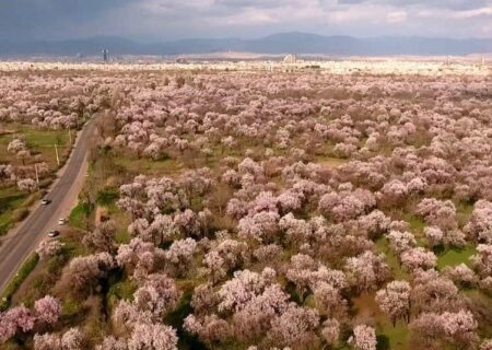 رئیس سازمان حفاظت محیط‌زیست؛ ثبت جهانی باغستان سنتی قزوین به عنوان یکی از نظام‌های میراثی کشاورزی