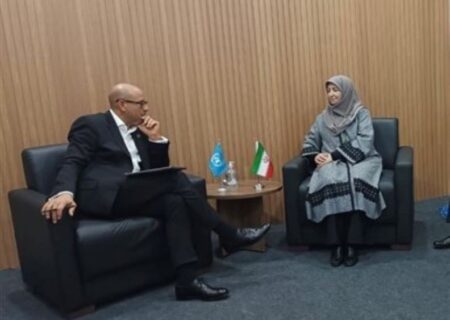 دیدارهای رئیس سازمان حفاظت محیط زیست در حاشیه اجلاس COP۳۰ برزیل؛ دبیرخانه کنوانسیون تغییر اقلیم صدای ایران را خواهد شنید/تاکیدبرتوسعه همکاری‌های محیط‌زیستی