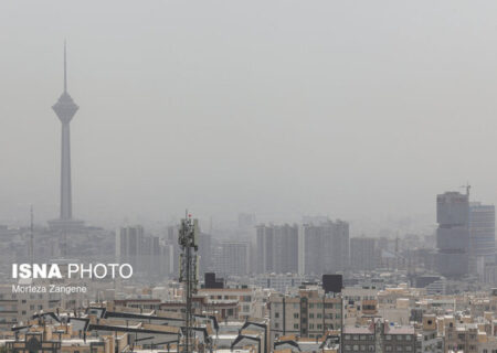 ذرات معلق هوای تهران شامل چه عناصری است؟