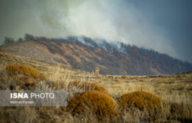 مهار آتش الیت با ۱۱۵ عملیات بالگردها و ۱۳ پرواز ایلیوشین