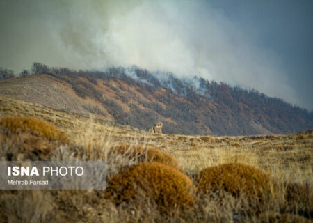 مهار آتش الیت با ۱۱۵ عملیات بالگردها و ۱۳ پرواز ایلیوشین