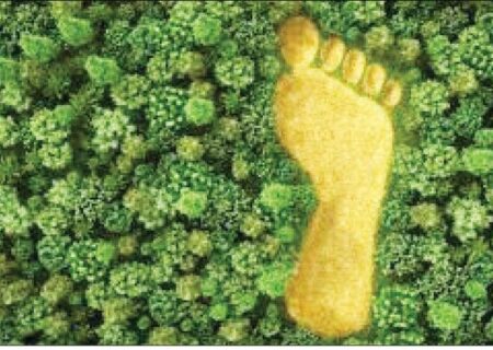 مصرف ایرانیان، سه برابر ظرفیت زیستی کشور است