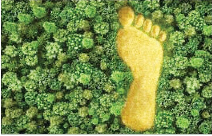 مصرف ایرانیان، سه برابر ظرفیت زیستی کشور است